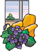 african violet