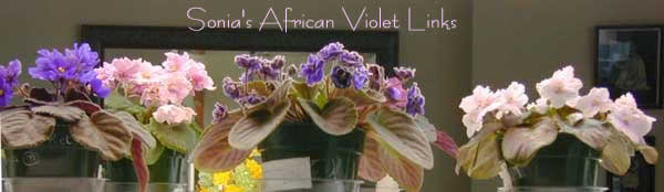 Sonia's African Violets Links